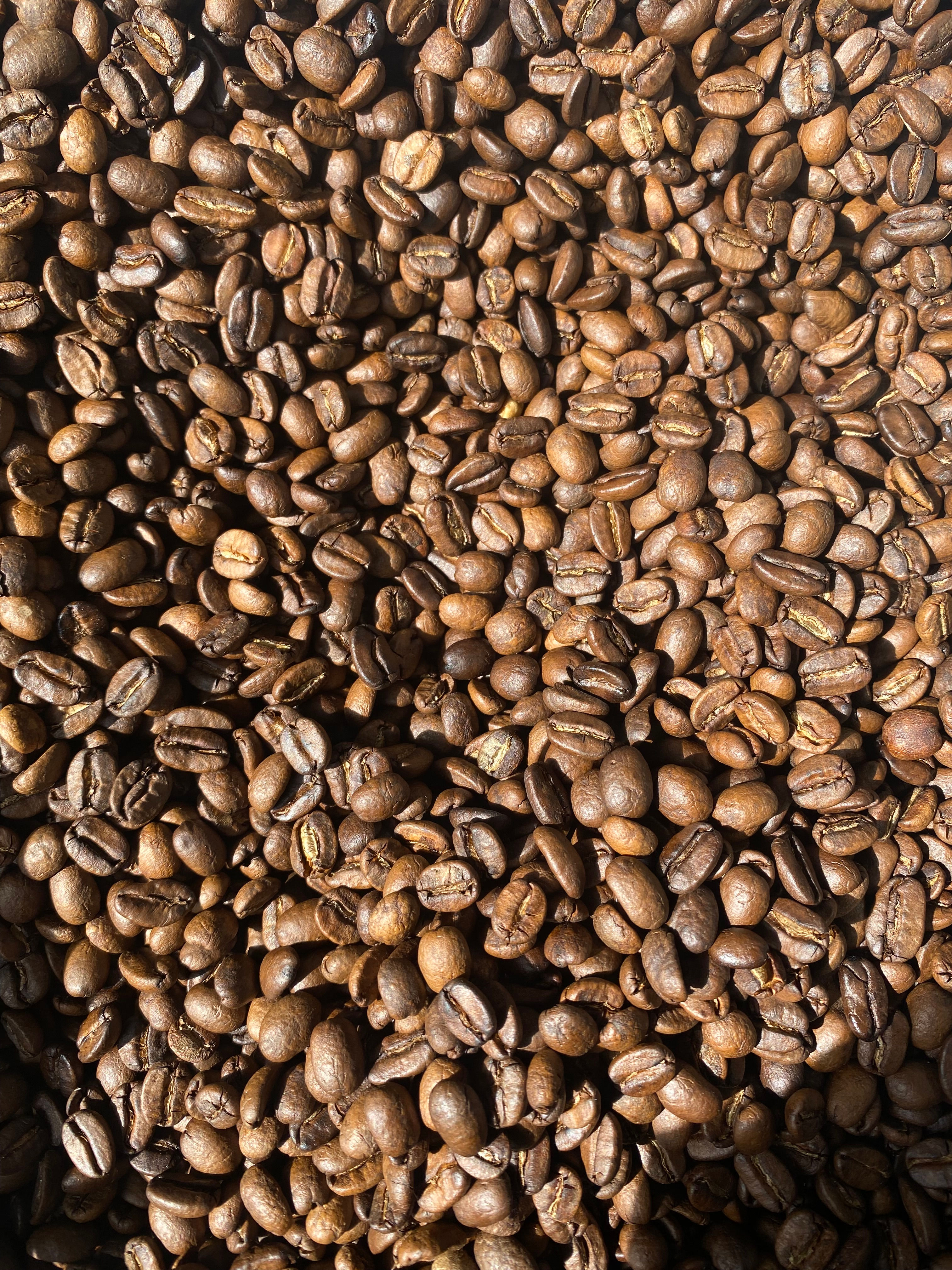 Lempira Coffee Beans 250g