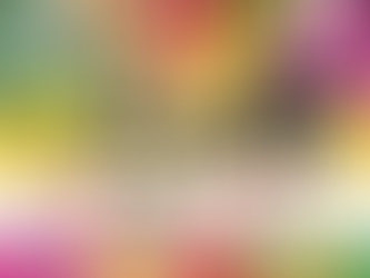 2017年10月22日(日)『第38回 谷山ふるさと祭り』at 鹿児島市谷山中央 国道225号