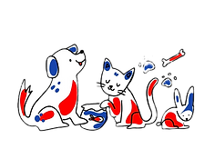 WhatsApp Image 2025-08-25 at 3.10_edited