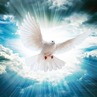 O PENTECOSTES É DA BÍBLIA NÃO DO PENTECOSTAL