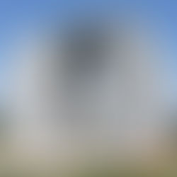 AS PEDRAS GUIA DA GEÓRGIA - OS 10 MANDAMENTOS DO ANTICRISTO