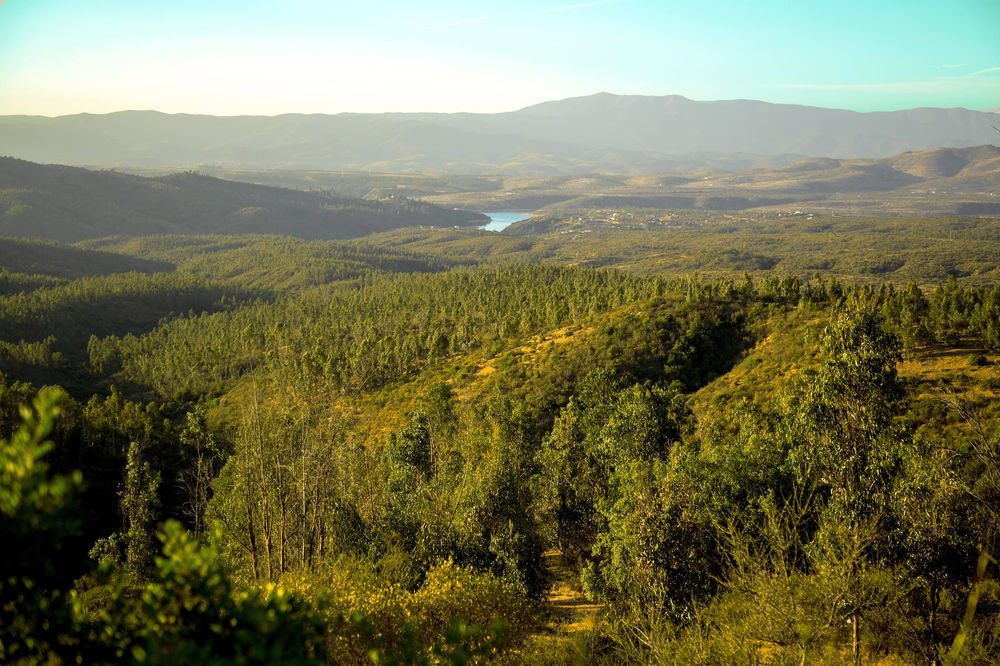 6 Beneficios de un terreno en pendiente