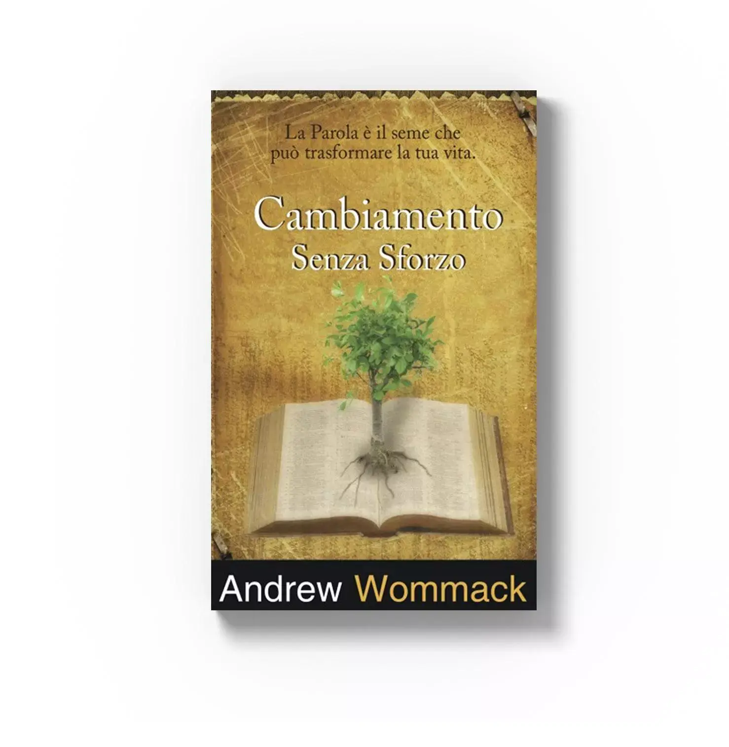 Cambiamento senza sforzo