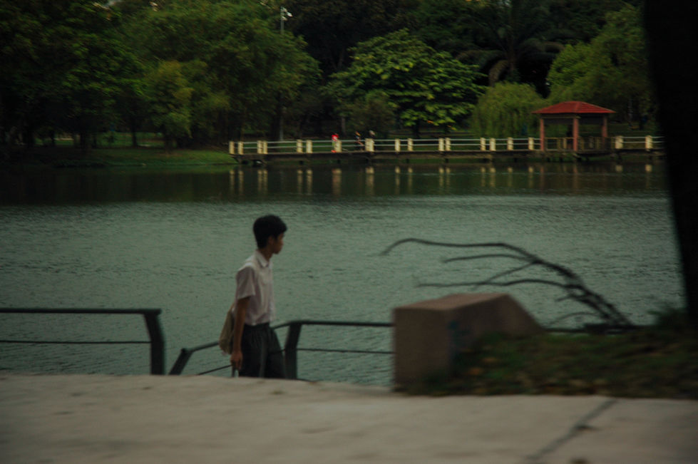 Shape Of The Water