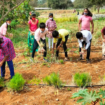 best school for Tree planting initiatives in Eurode