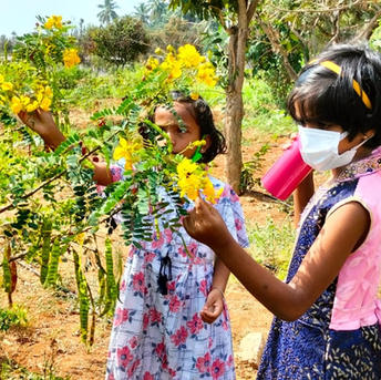 best school for Tree planting initiatives in Eurode