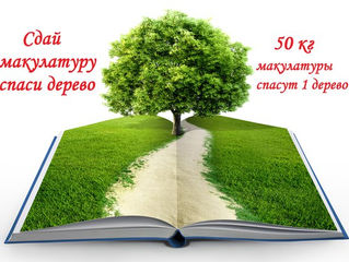 6 деревьев! - Нам есть, чем гордиться.