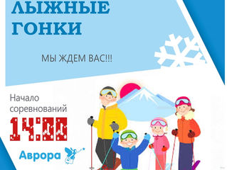 Лыжные гонки
