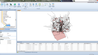Como obter dados do OpenStreetMap no formato shapefile