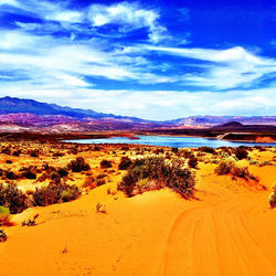 AMAZING VIEWS