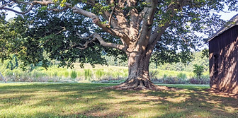 Orange County NC scenery