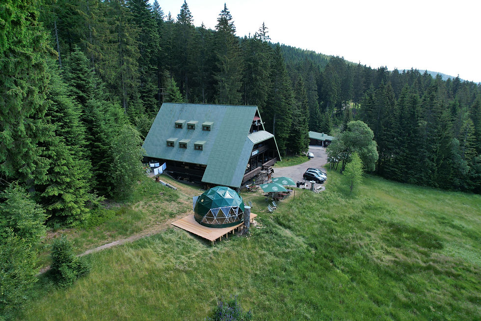 Schwarzwald-Lodge.jpeg