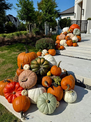 Luxury pumpkin delivery and porch styling service in Celina, TX