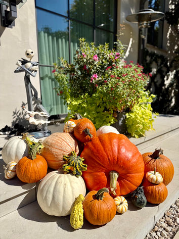Elegant autumn porch decor featuring white pumpkins in University Park, TX