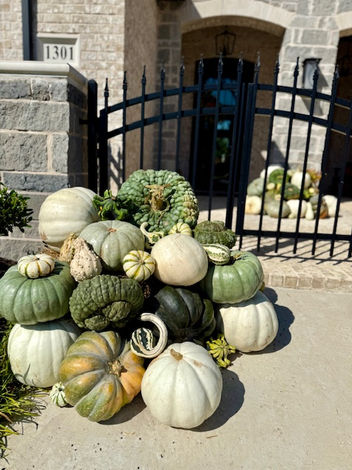 Luxury pumpkin delivery and porch decorating service in McKinney and Prosper, TX.