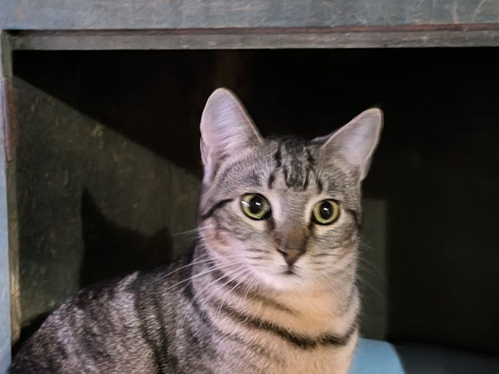 Lucia  - geb. 05.2024