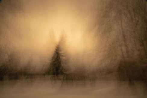 2021_02_13_Hatchery in Snow__DSC6695.jpg