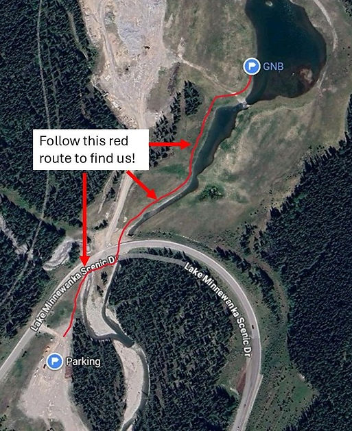 trail.jpg