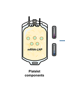 nanoparticles_figure revised.tif