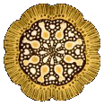 Icon 13.gif
