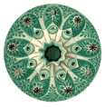 Icon 3.gif
