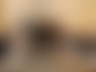 Javier Milei encabezó una reunión con equipo completo en medio de las denuncias contra Alberto Fernández