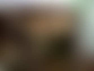 Inseguridad en Mar del Plata: enfrentó a los tiros a 4 motochorros que le quisieron robar en la puerta de su casa