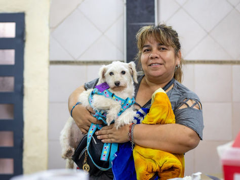 Intenso operativo de zoonosis con castraciones y vacunación antirrábica en la Sociedad de Fomento 'Los Eucaliptos' de Solano