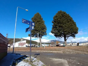 Estaba en una fiesta, lo apuñalaron, salió a buscar ayuda y murió