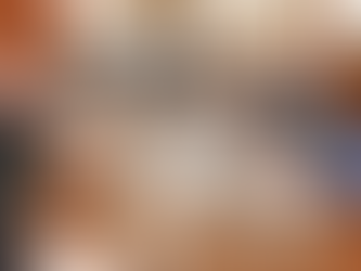 Pullaro dijo que el DNU se firmó "en forma inconsulta" y afecta a la industria