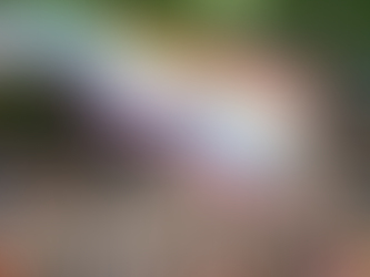 Desde el Gobierno calificaron de "política" la marcha del colectivo LGBT y asegura que no impactará en la imagen de Milei