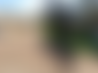 Un policía retirado mató a tiros a su pareja delante de su hija de 13 años