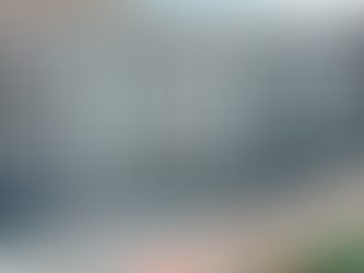 El Gobierno aprobó financiamiento del BID y el BIRF por US$ 550 millones