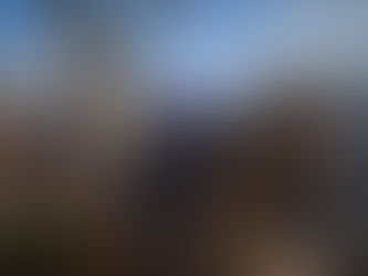 El municipio continúa con los operativos de limpieza y levantamiento de ramas en Quilmes Oeste