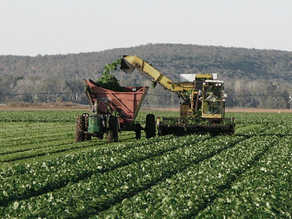 El BID aprobó un préstamo para Argentina por US$ 100 millones destinado a la agroindustria