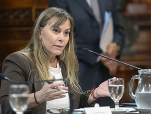 El bloque justicialista propone derogar el artículo 154 del DNU 70/23 y restituir la Ley de Tierras
