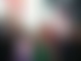 Vecinos, emprendedores y feriantes destacaron el éxito de la Fiesta de las Colectividades