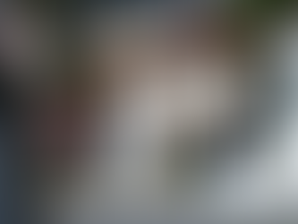 Qué determinó la autopsia al delincuente de 16 años que fue asesinado por el dueño de un local en La Plata