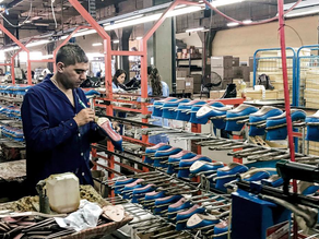 Diputados debate la ley de promoción de la industria del calzado