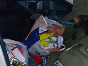 Decomisan fármacos ilegales valuados en más de dos millones de pesos