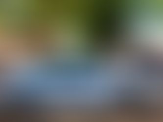 Escapan de control vial, abandonan camioneta con 629 kilos de marihuana y huyen