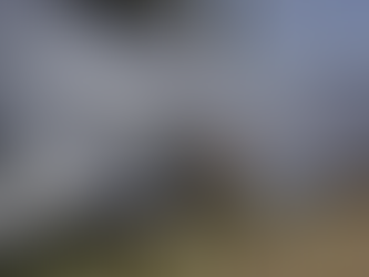 Bariloche y El Bolsón con riesgo "muy alto" de incendios forestales