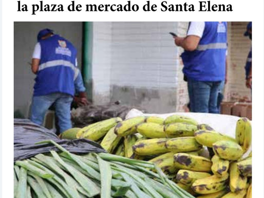 Alcaldía hará desde hoy nueva intervención en la plaza de mercado de Santa Elena