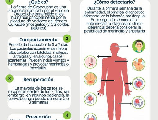 Alerta epidemiológica Chikungunya y Oropouche en la Región de las Américas