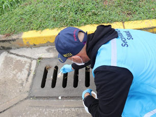 Prevención epidemiológica: ¡Sigue el ataque del dengue!