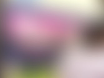 Gobernación del Valle activa el ‘Código Rosa’