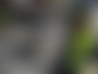 El que busca, encuentraCon trabajo, las autoridades incautaron gran contrabando