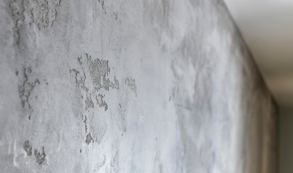 TODEL CONSTRUCTION wall decoration 3