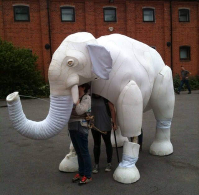 the elephant in the room