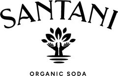SantaniLogoTitle.webp